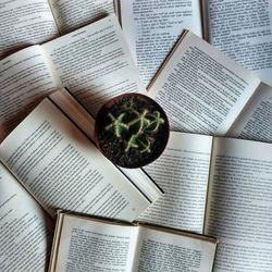 cover art for Acrópole do Livro