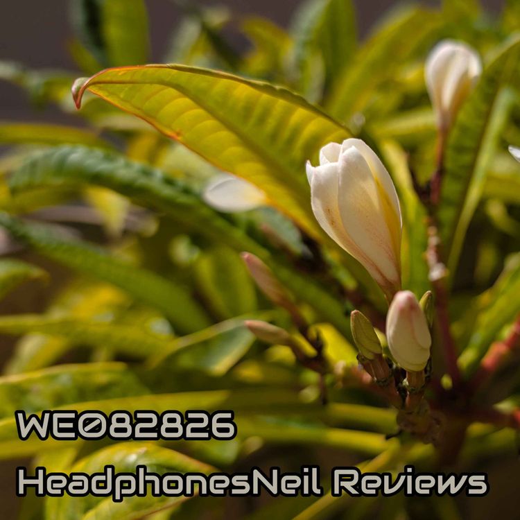 cover art for WE082826