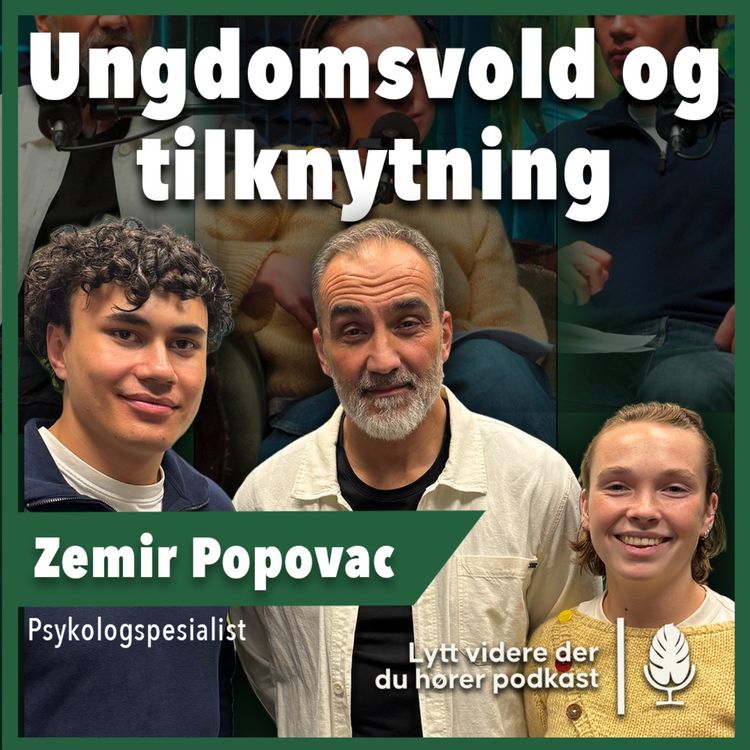 cover art for Ungdomsvold og tilhørighet