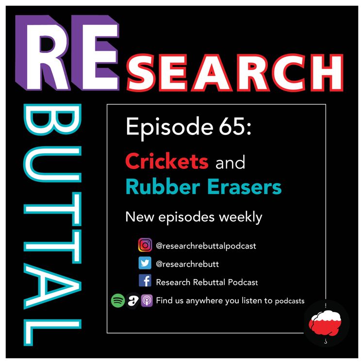 cover art for Crickets And Rubber Erasers