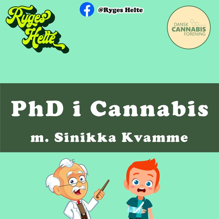 cover art for #3.03: Sinikka Kvamme (PhD)