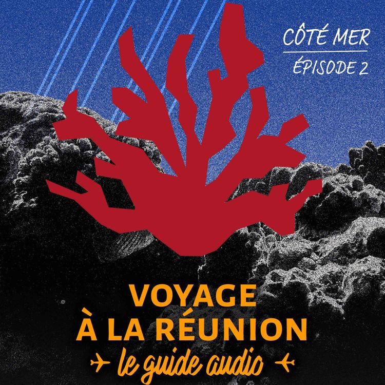 cover art for Voyage à La Réunion #2 - Côté Mer