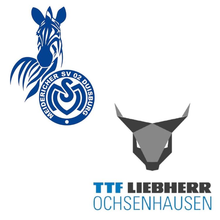 cover art for 2 x Duales Studium (B.A. / M.A.) im Profisport ⚽🏓