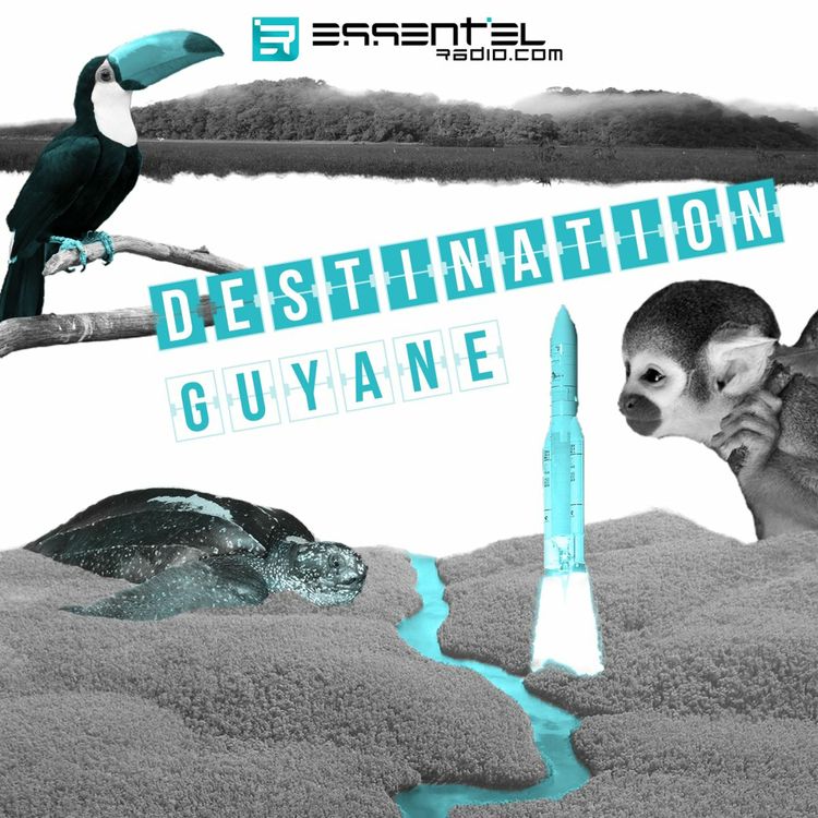 cover art for Destination Guyane - L'Actu Autrement