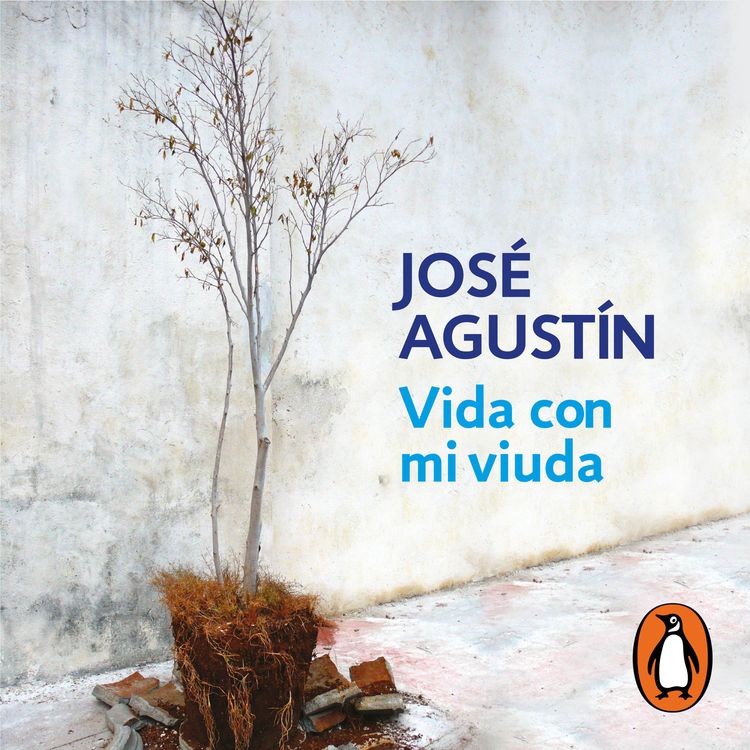 cover art for Audiolibro: Vida con mi viuda - José Agustín