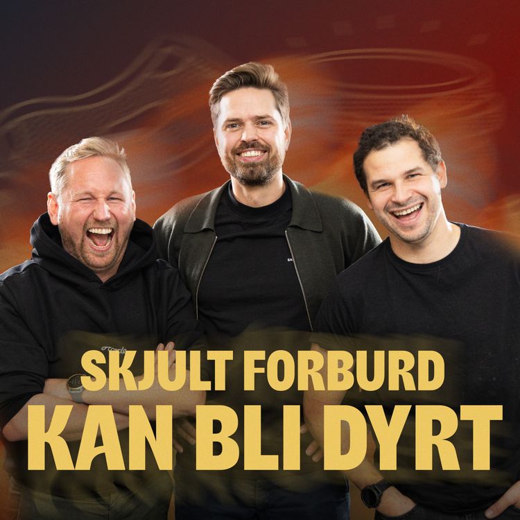 cover art for 224 - Skjult forbud vil gi dårlig oversikt og dyrere lån