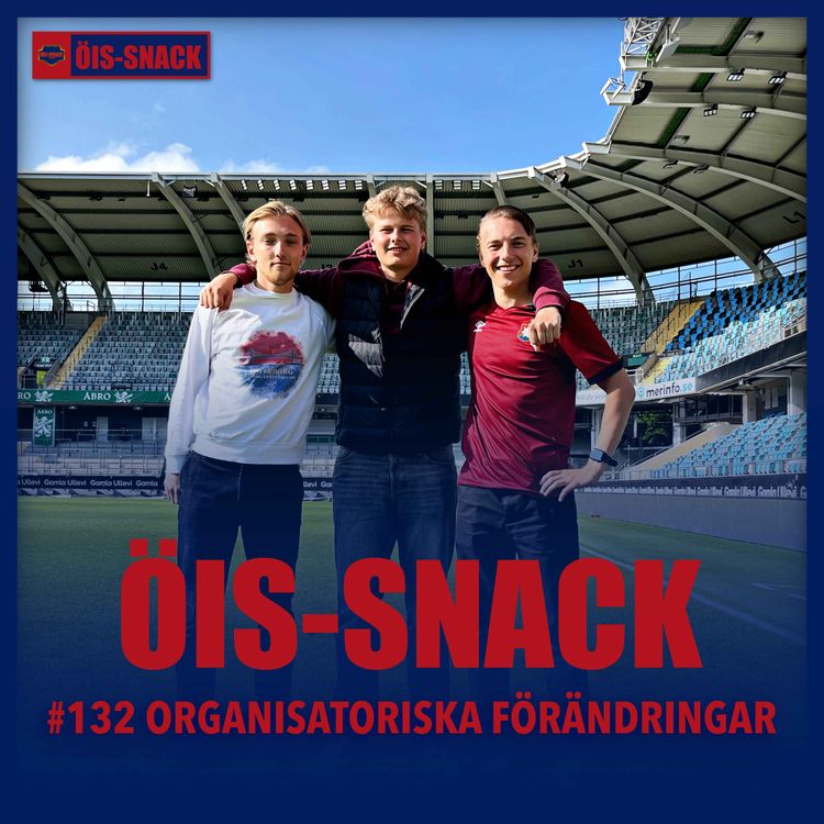 cover art for 132. Organisatoriska förändringar