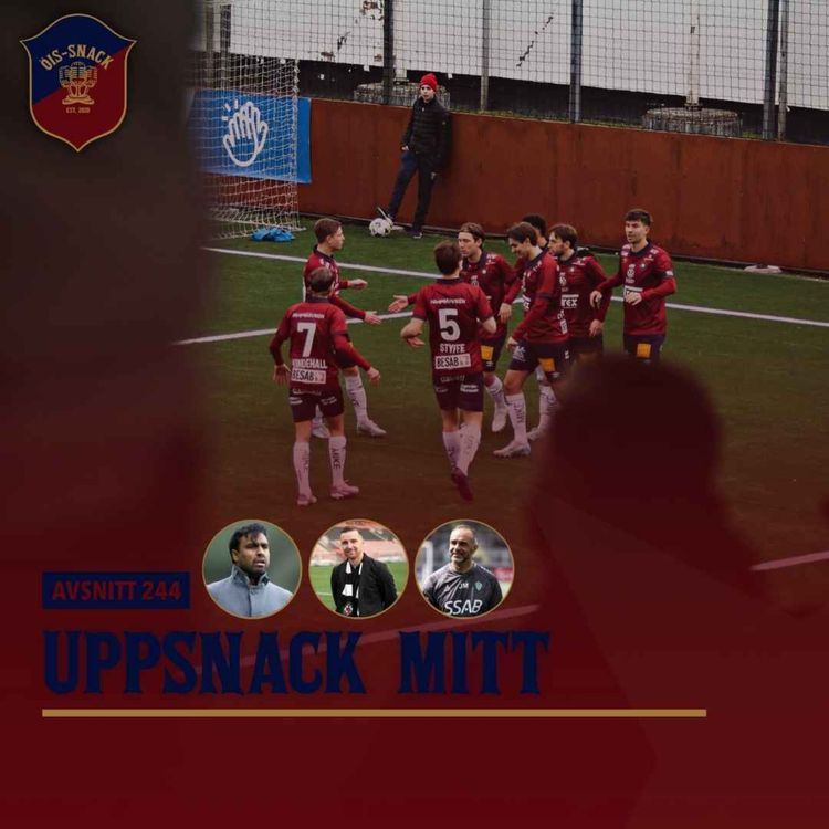 cover art for 244. Uppsnack mitt