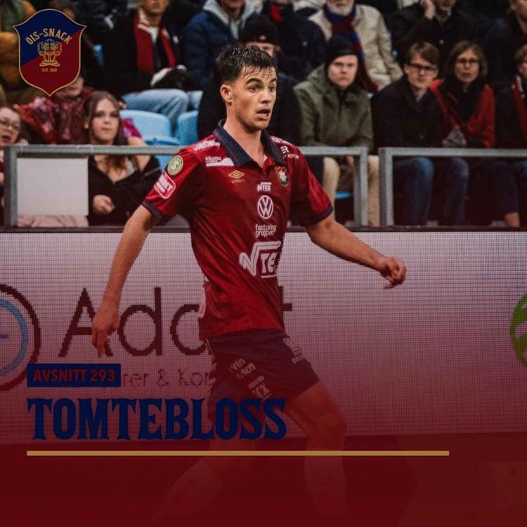 cover art for 293. Tomtebloss