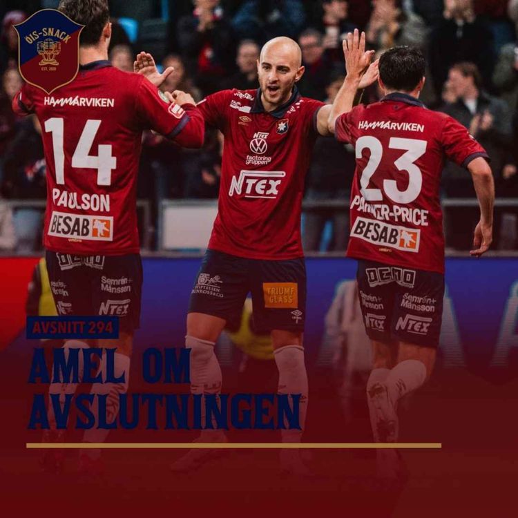 cover art for 294. Amel om avslutningen