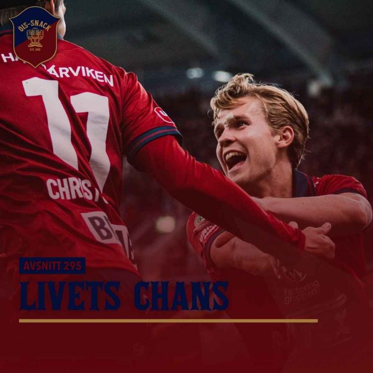 cover art for 295. Livets chans