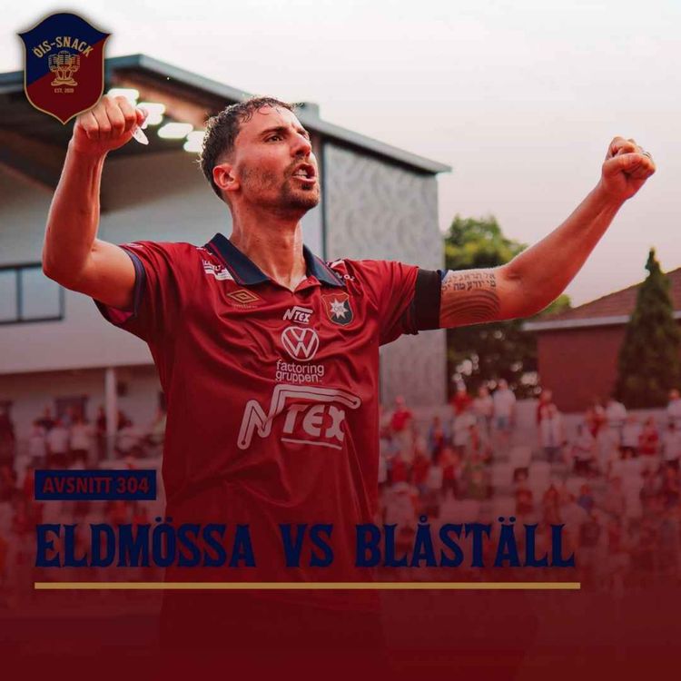 cover art for 304. Eldmössa vs blåställ