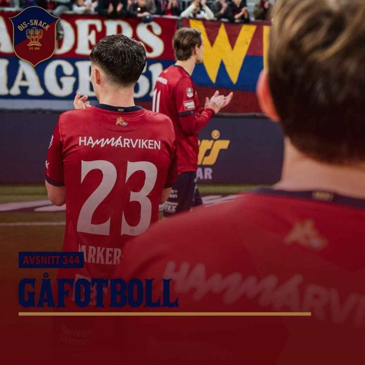 cover art for 344. Gåfotboll