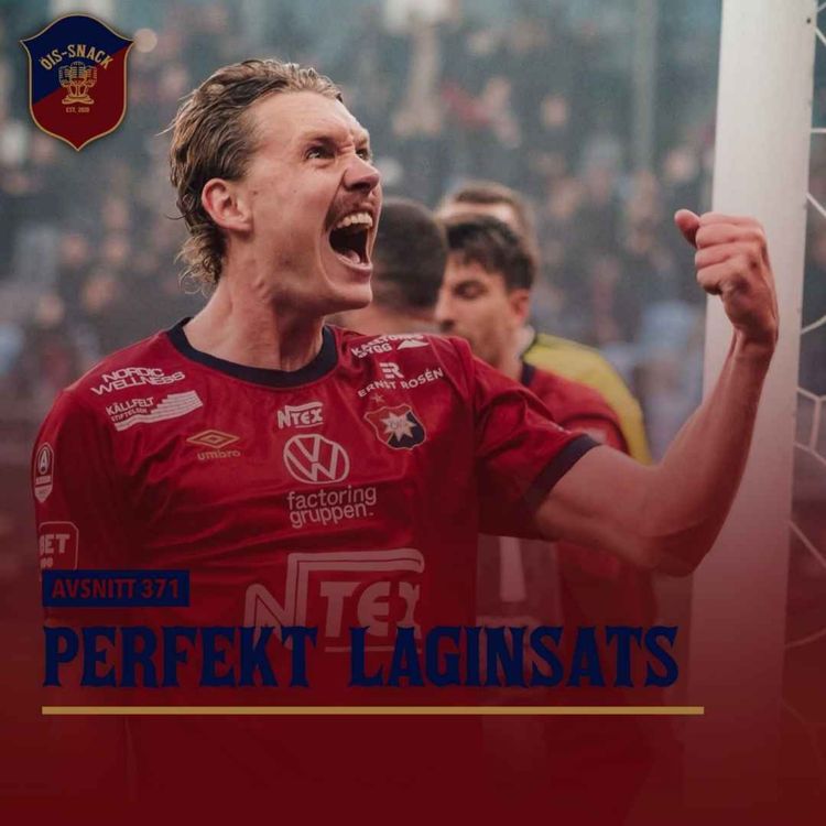 cover art for 371. Perfekt laginsats