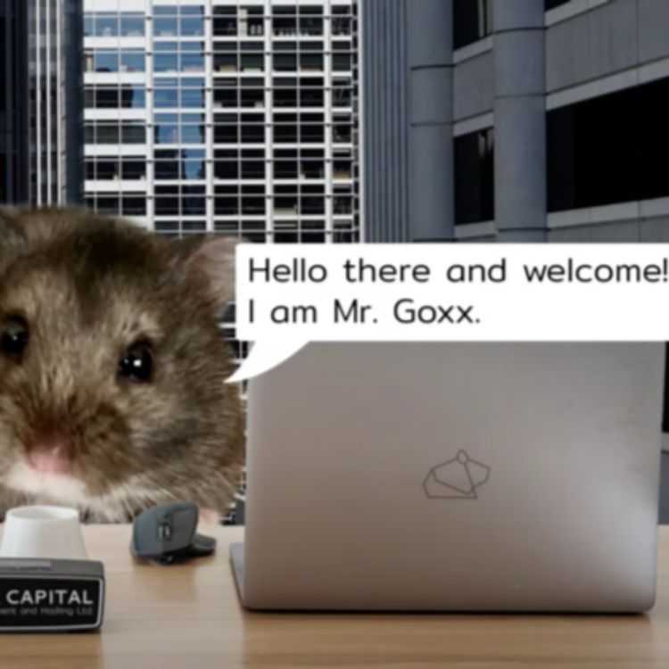 cover art for The Crypto Trading Hamster Who’s Crushing it | Episode 107