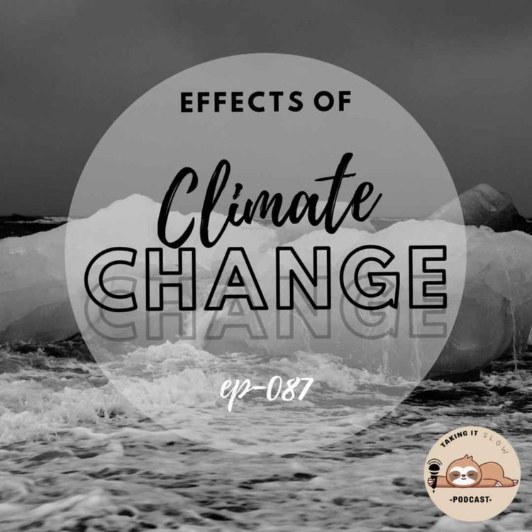 cover art for Taking it Slow with Heat Waves and Global Warming!