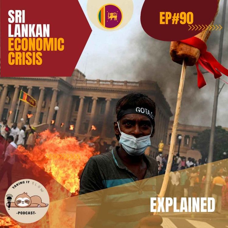 cover art for The Sri Lankan Economic Crisis Explained! | The Taking it Slow Podcast!