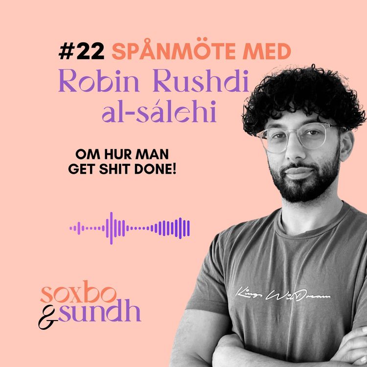 cover art for #22 Spånmöte med Robin Rushdi al-sálehi