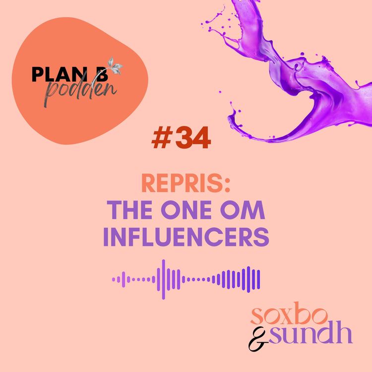 cover art for #34 Sommarrepris: The one om influencers