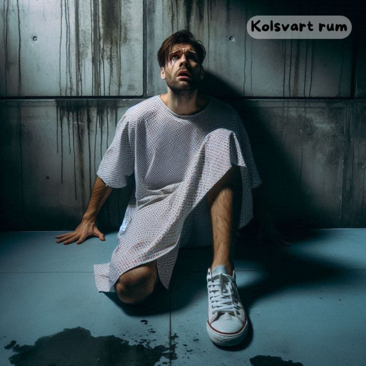 cover art for PODDSPECIAL - Kolsvart rum (Del 3)