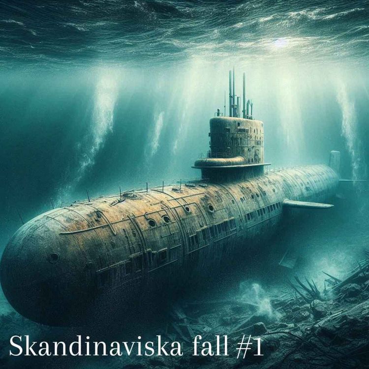cover art for 21. Skandinaviska fall #1