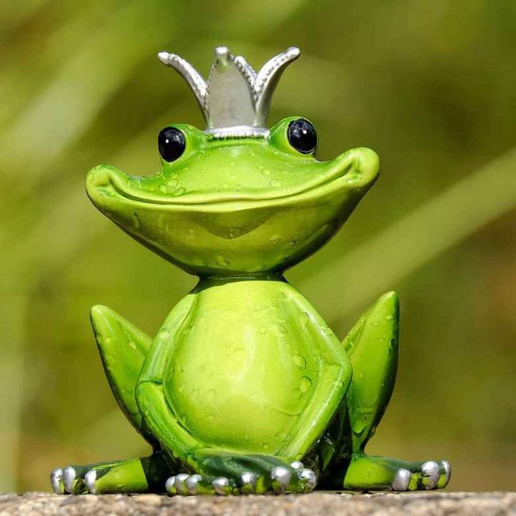 cover art for Princes et princesses