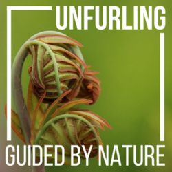 cover art for Unfurling