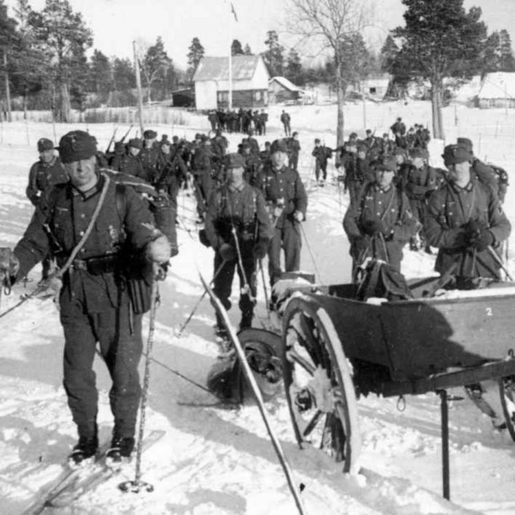 cover art for Den finske fare