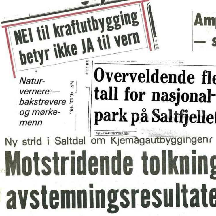 cover art for Saltfjellsaken