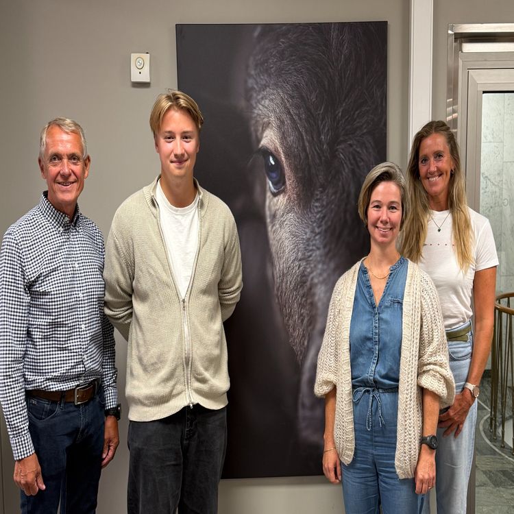 cover art for 71 Når dyra trenger hjelp – men veterinæren mangler