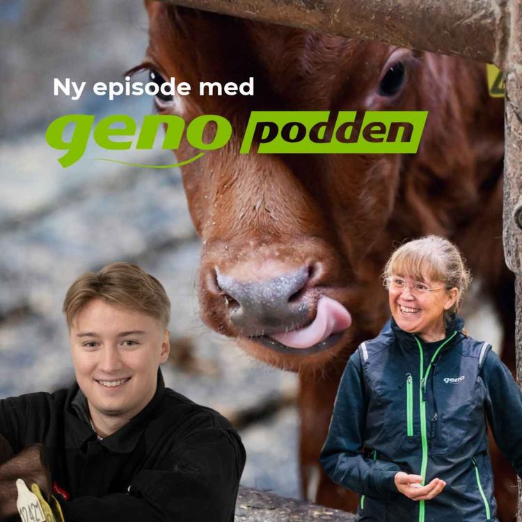 cover art for 83 Senter for husdyrforsøk: Hva skjer egentlig på forskningsfjøset?