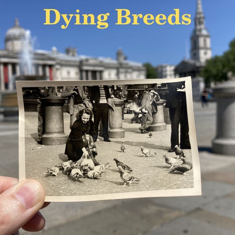 cover art for Dying Breeds trailer