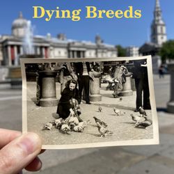 cover art for Dying Breeds