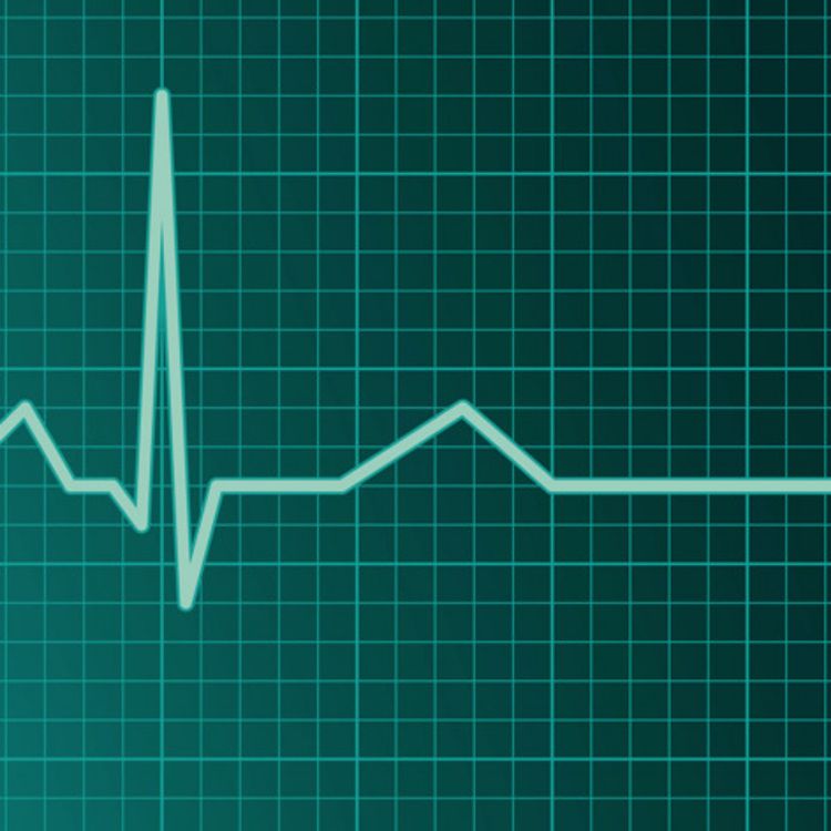 cover art for The Best Show