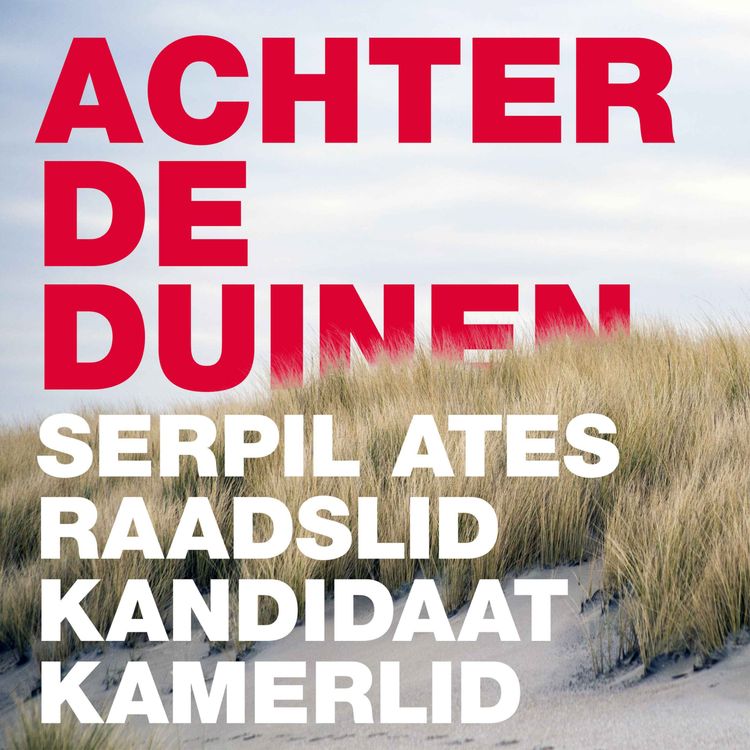 cover art for Serpil Ates, raadslid en kandidaat-kamerlid. Over activisme, feminisme, en hoe die samen komen met de politiek