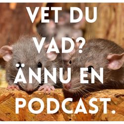 cover art for Vet du vad?