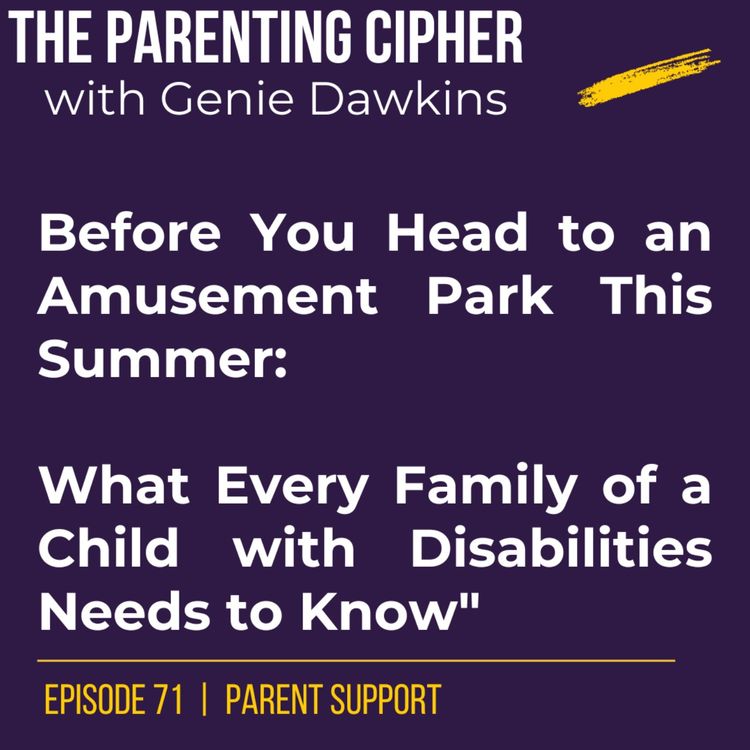 cover art for Before You Head to an Amusement Park This Summer: What Every Family of a Child with Disabilities Needs to Know"