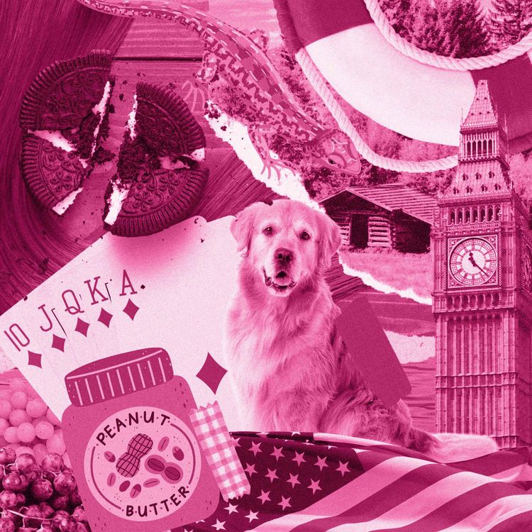 cover art for Interview with Lisa Ann Walter, Chessy from The Parent Trap