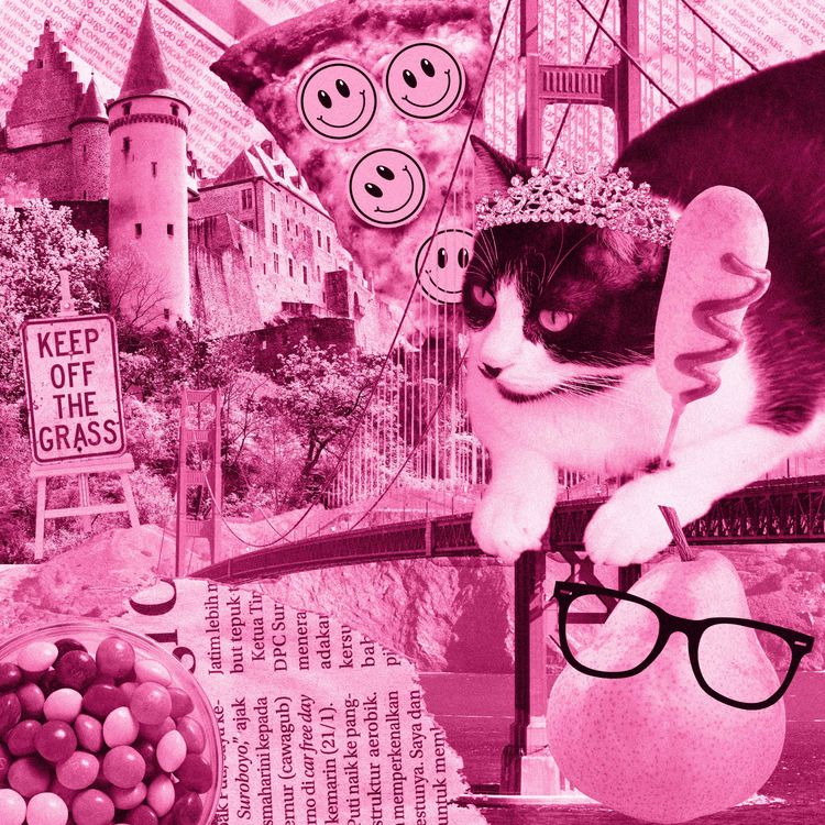 cover art for The Princess Diaries