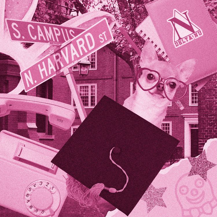 cover art for A Look Back on Legally Blonde