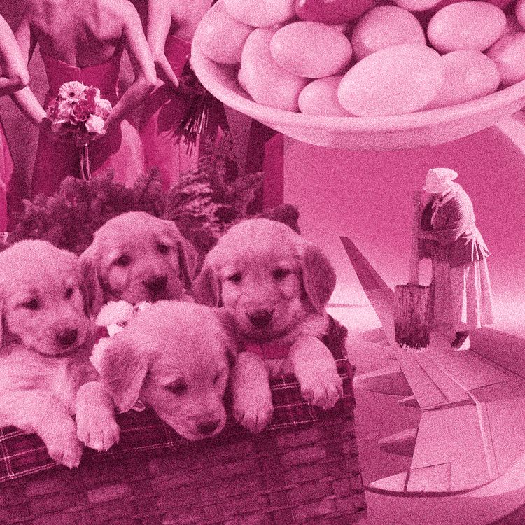 cover art for Bridesmaids