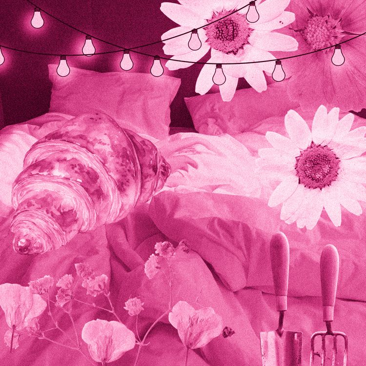 cover art for It's Complicated