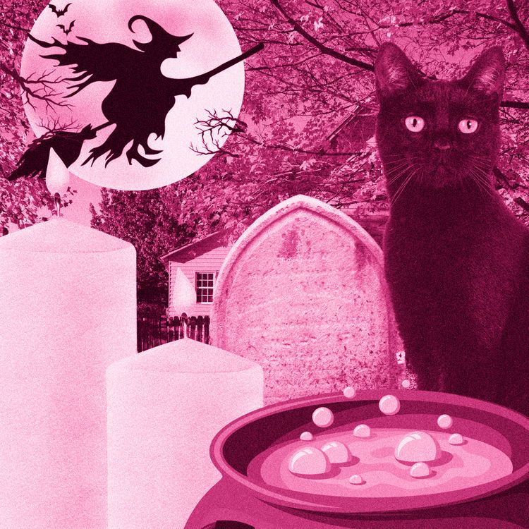 cover art for Hocus Pocus