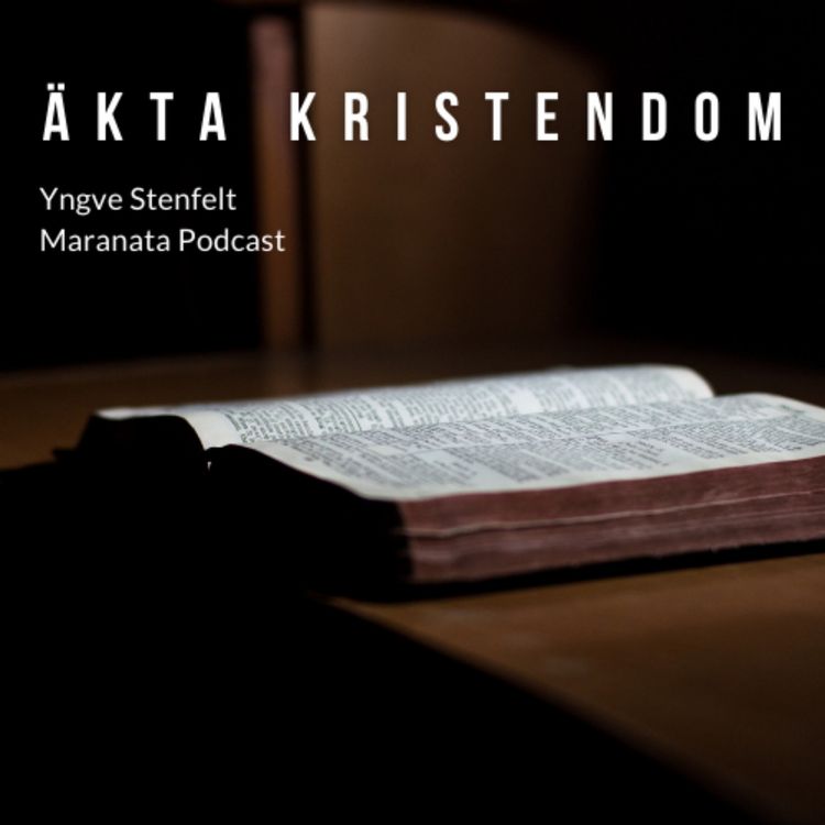 cover art for Äkta kristendom