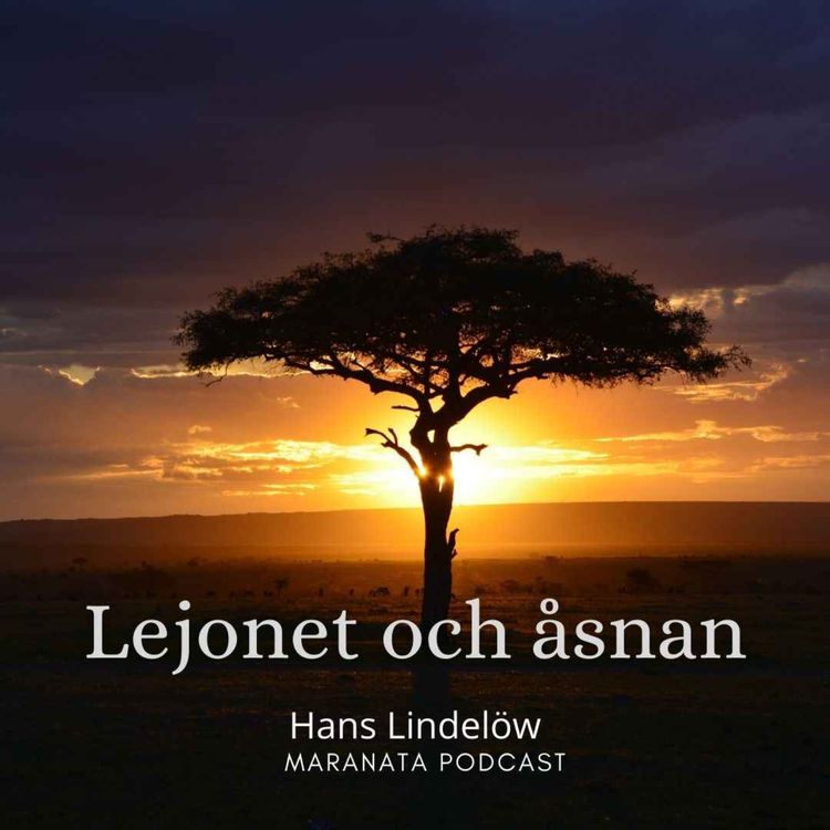 cover art for Lejonet och åsnan