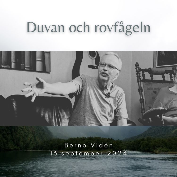 cover art for Duvan och rovfågeln i Bibeln