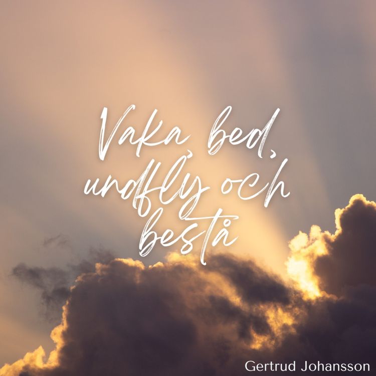 cover art for Vaka, bed, undfly och bestå