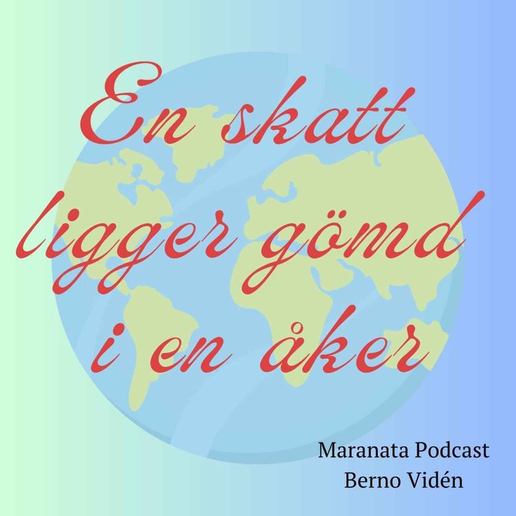 cover art for En skatt gömd i en åker