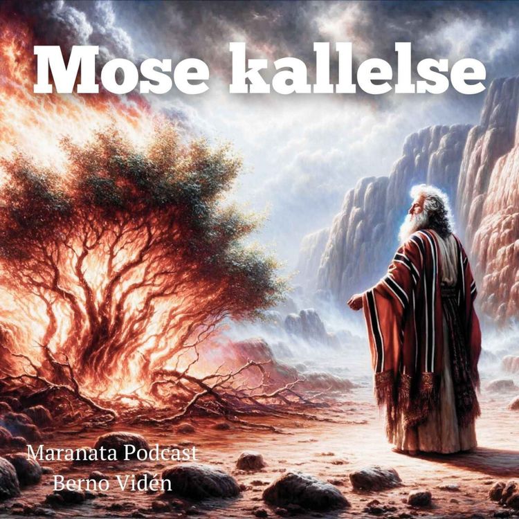 cover art for Mose kallelse