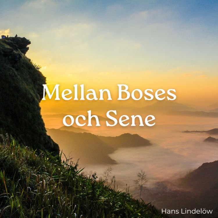 cover art for Mellan Boses och Sene